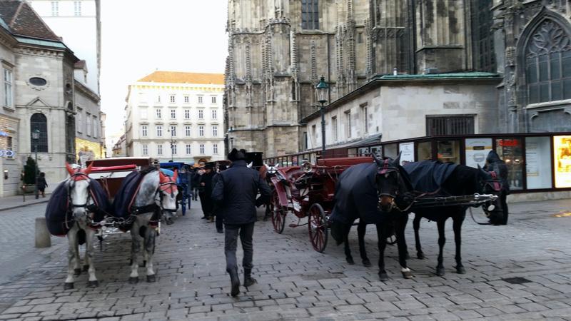 60-Vienna,24 dicembre 2014.JPG